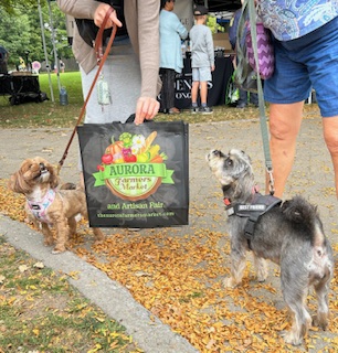 Dogs at Farmers' Market